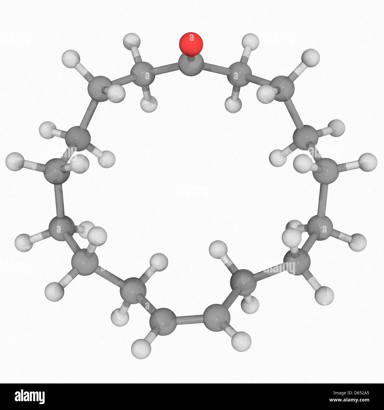 Civetone hires stock photography and images Alamy