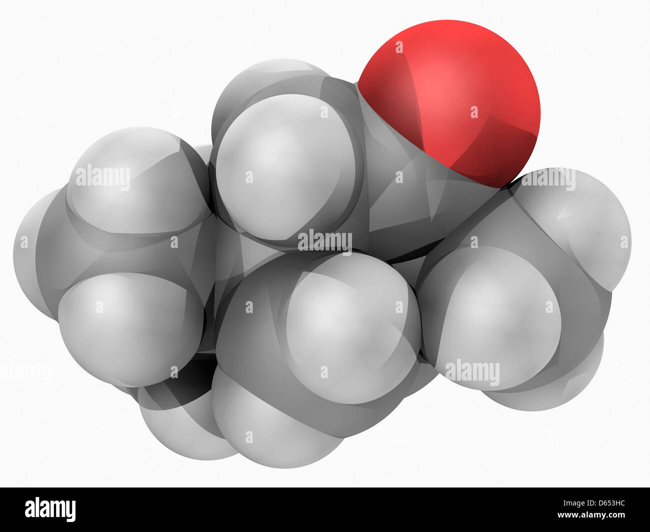 Thujone molecule Stock Photo