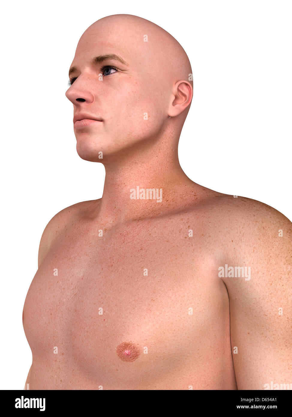 Male upper body, artwork Stock Photo