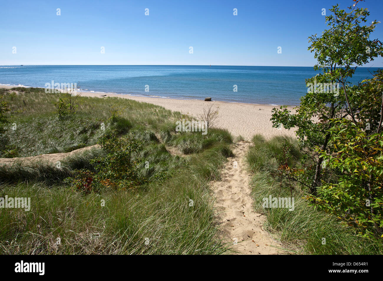 Are Dogs Allowed At Saugatuck Dunes State Park