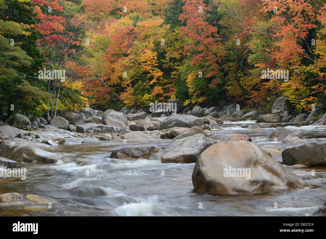 Swift River. White Mountain National Forest. New Hampshire. October 2012. Stock Photo