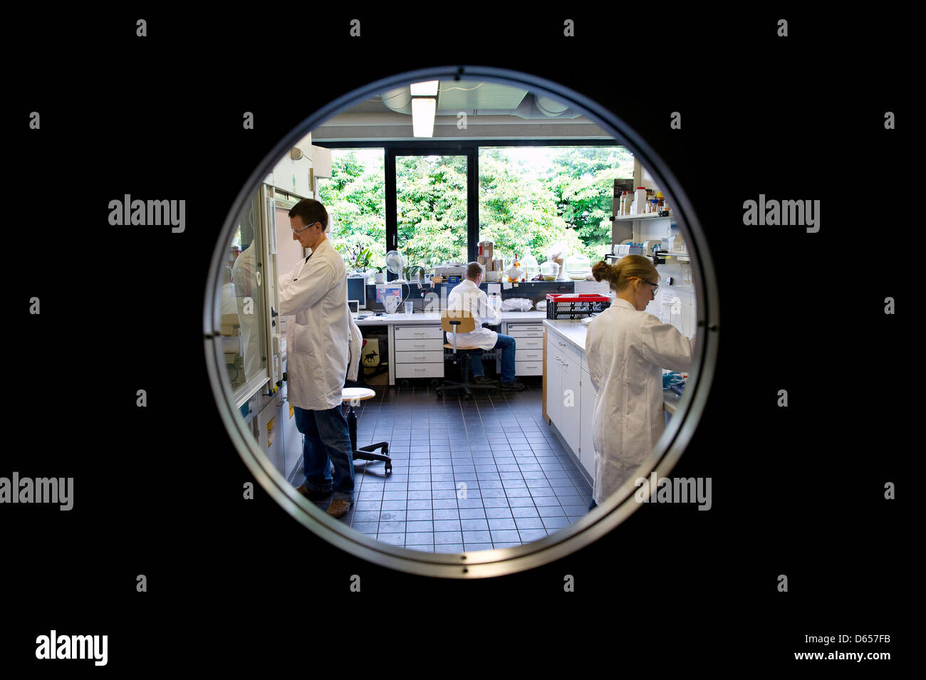 Technical University Of Dresden Hi res Stock Photography And Images Alamy