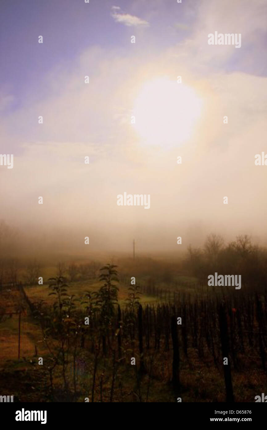 The sun shines through the mist and clouds in this foggy morning scene ...