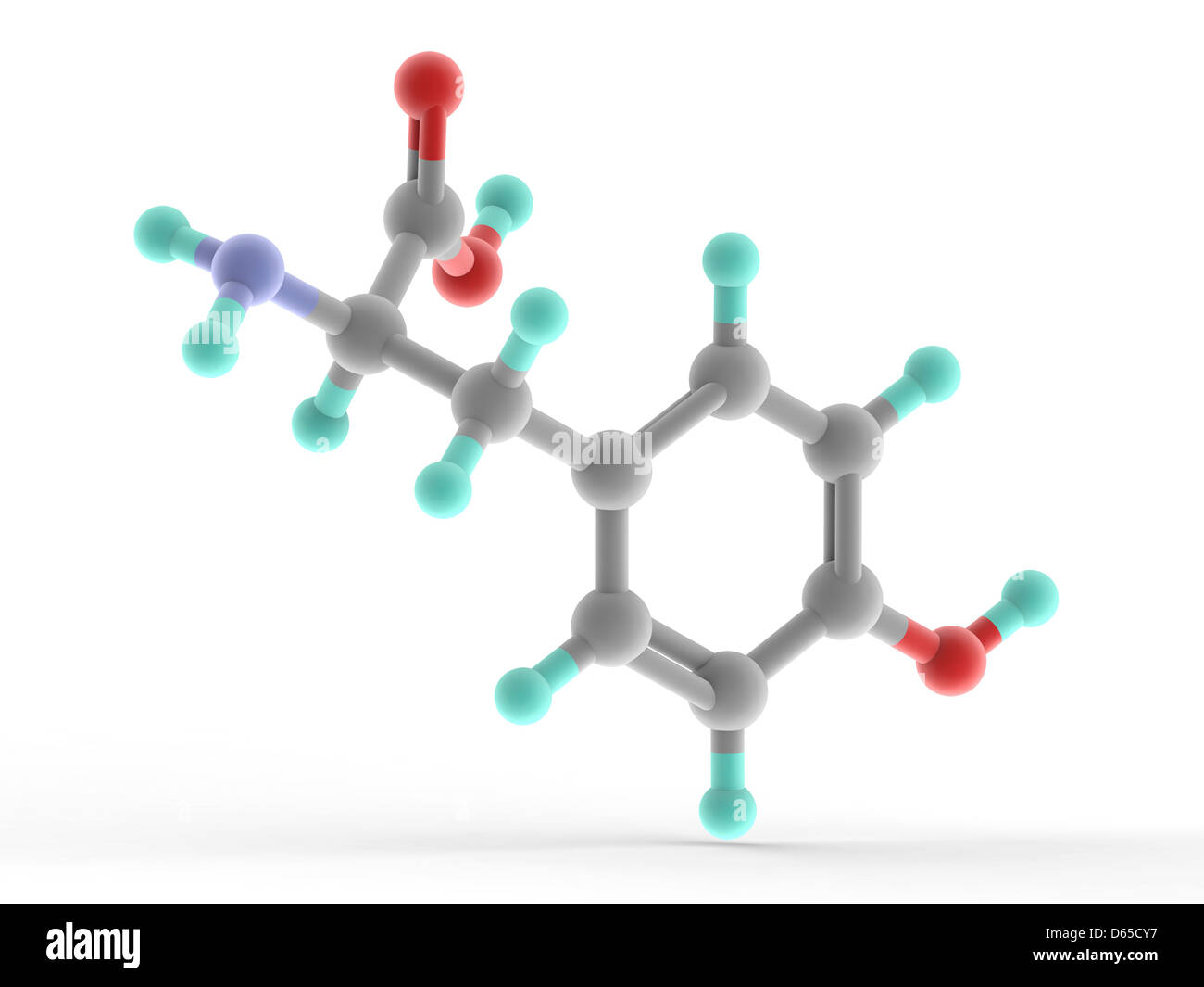 Tyrosine amino acid molecule hi-res stock photography and images - Alamy