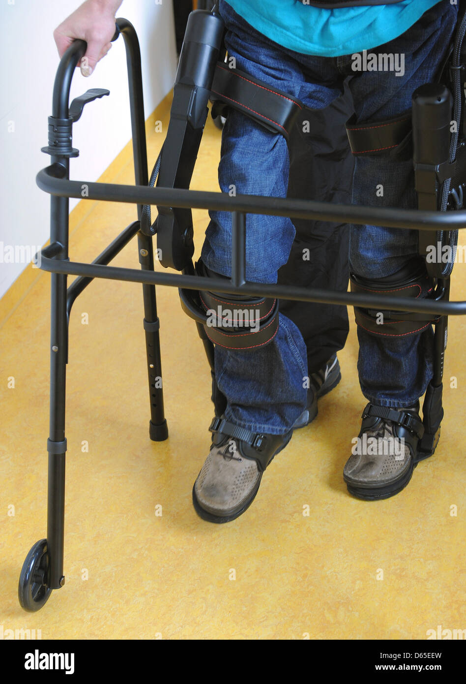 Physiotherapists have affixed walking robot EKSO on the legs of a