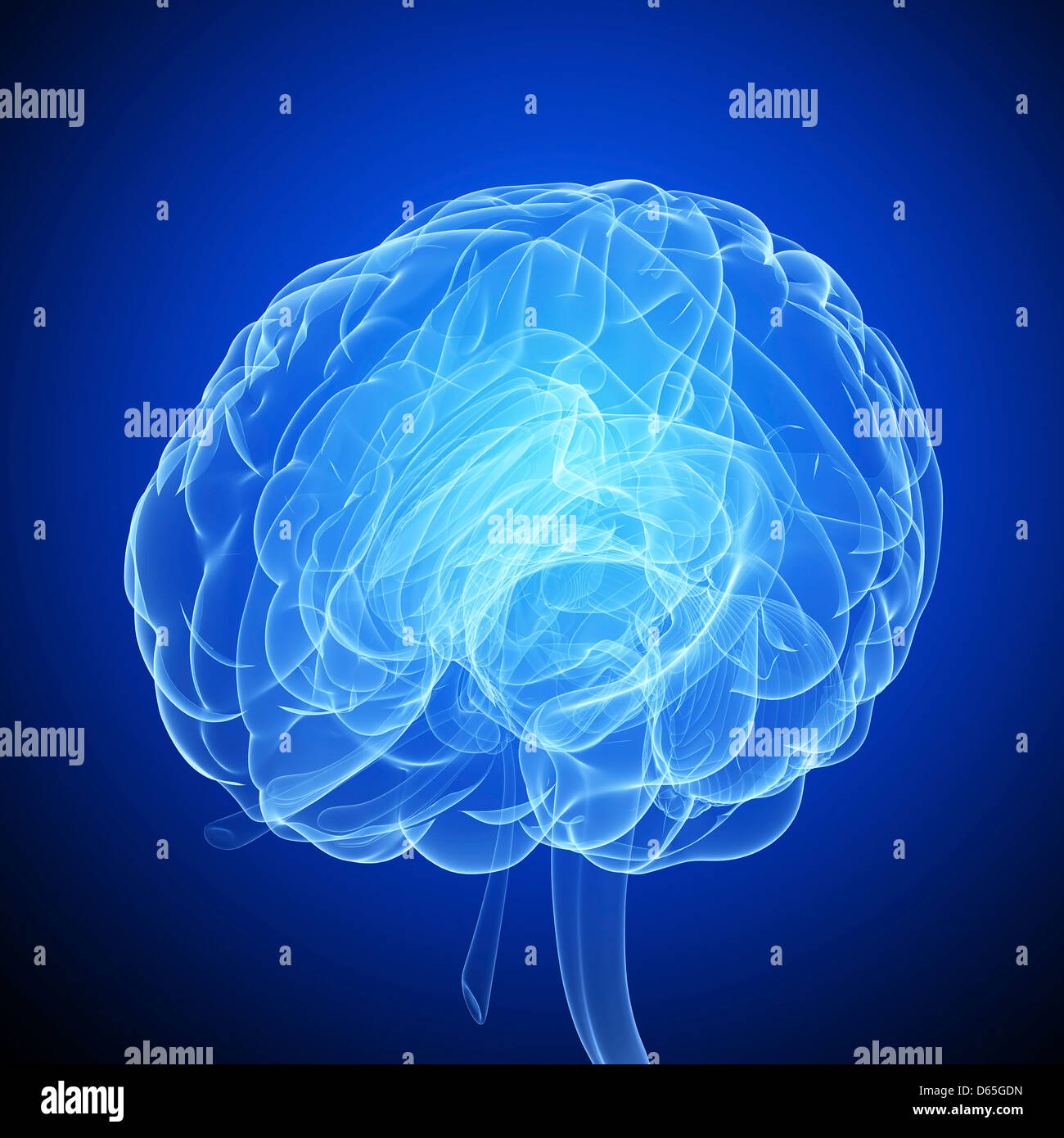 Human brain, artwork Stock Photo