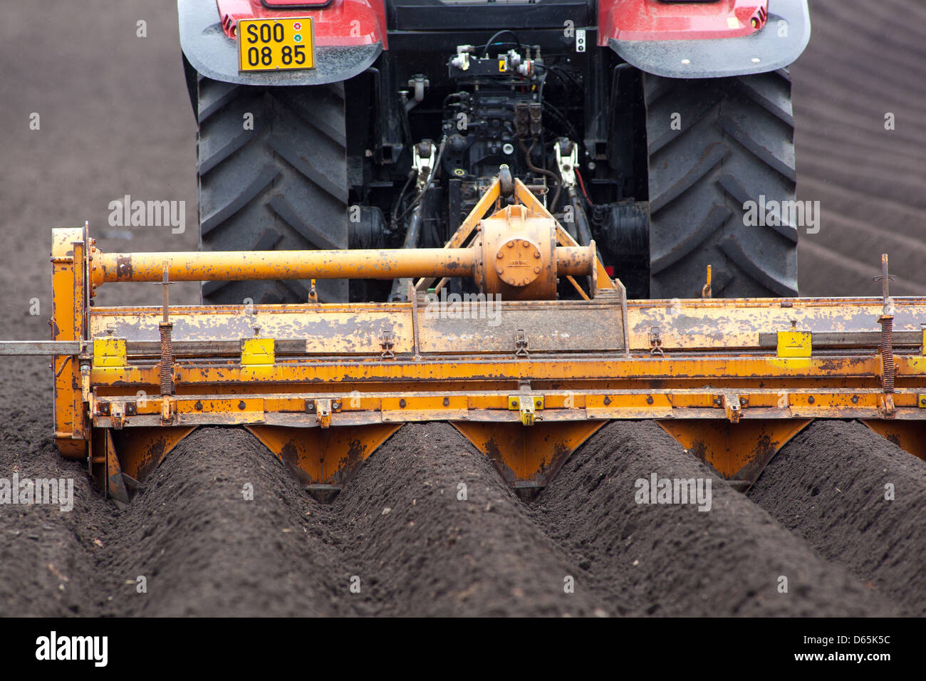 Spring planting potatoes in rows, Czech Republic Stock Photo