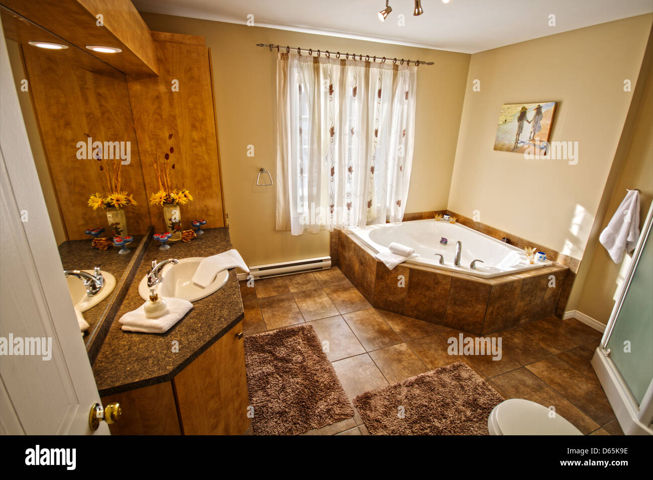 A picture of a sparkling clean bathroom. Stock Photo