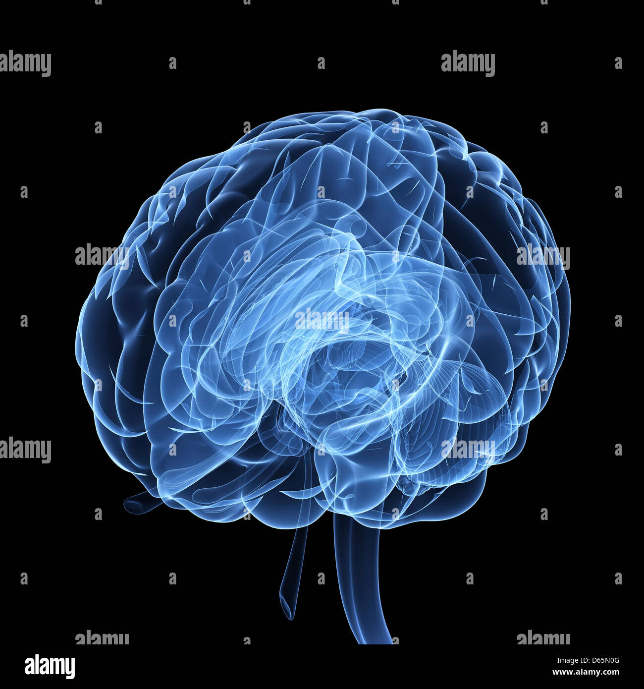 Human brain, artwork Stock Photo