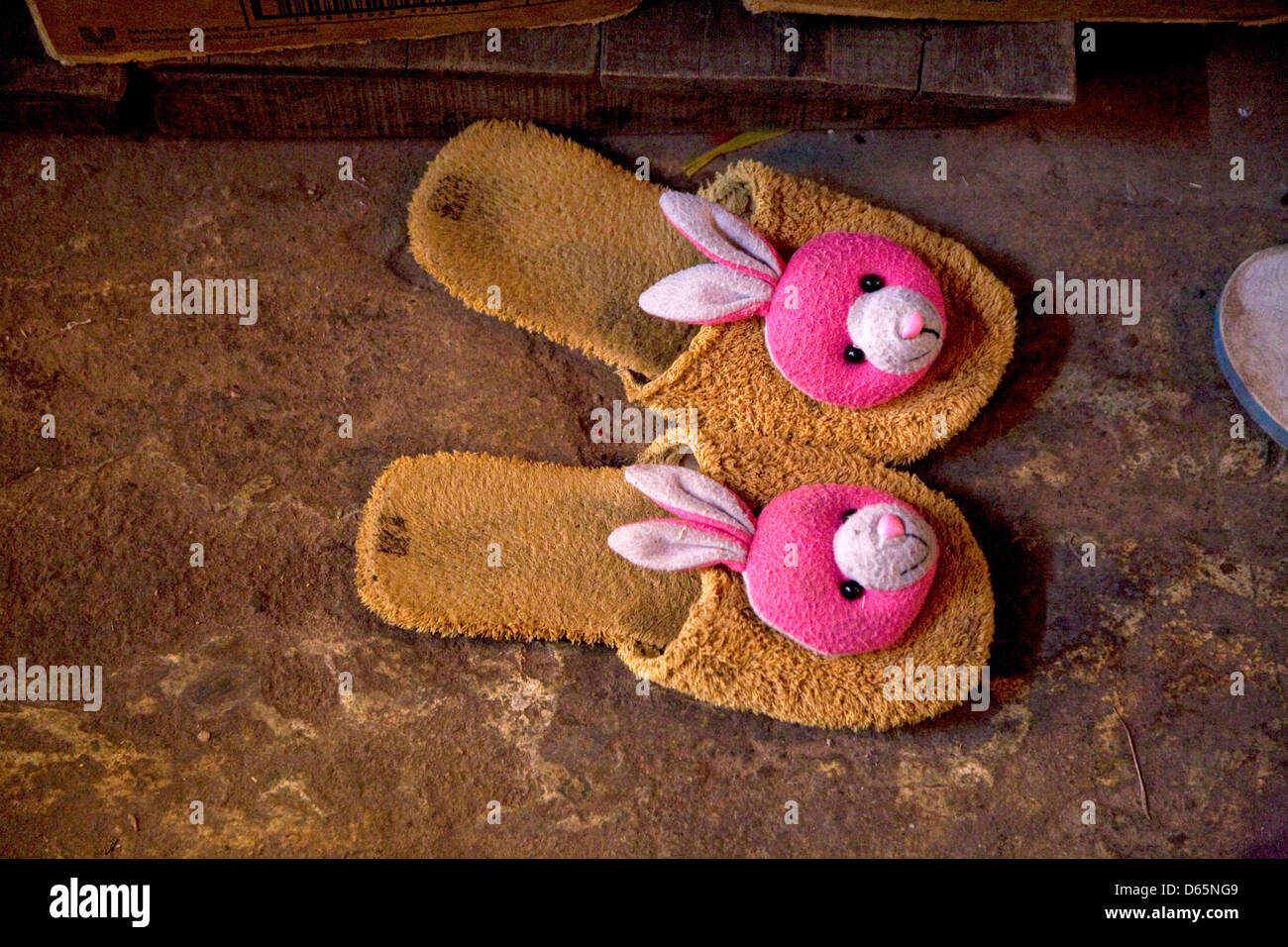 Seed bunny slippers sale
