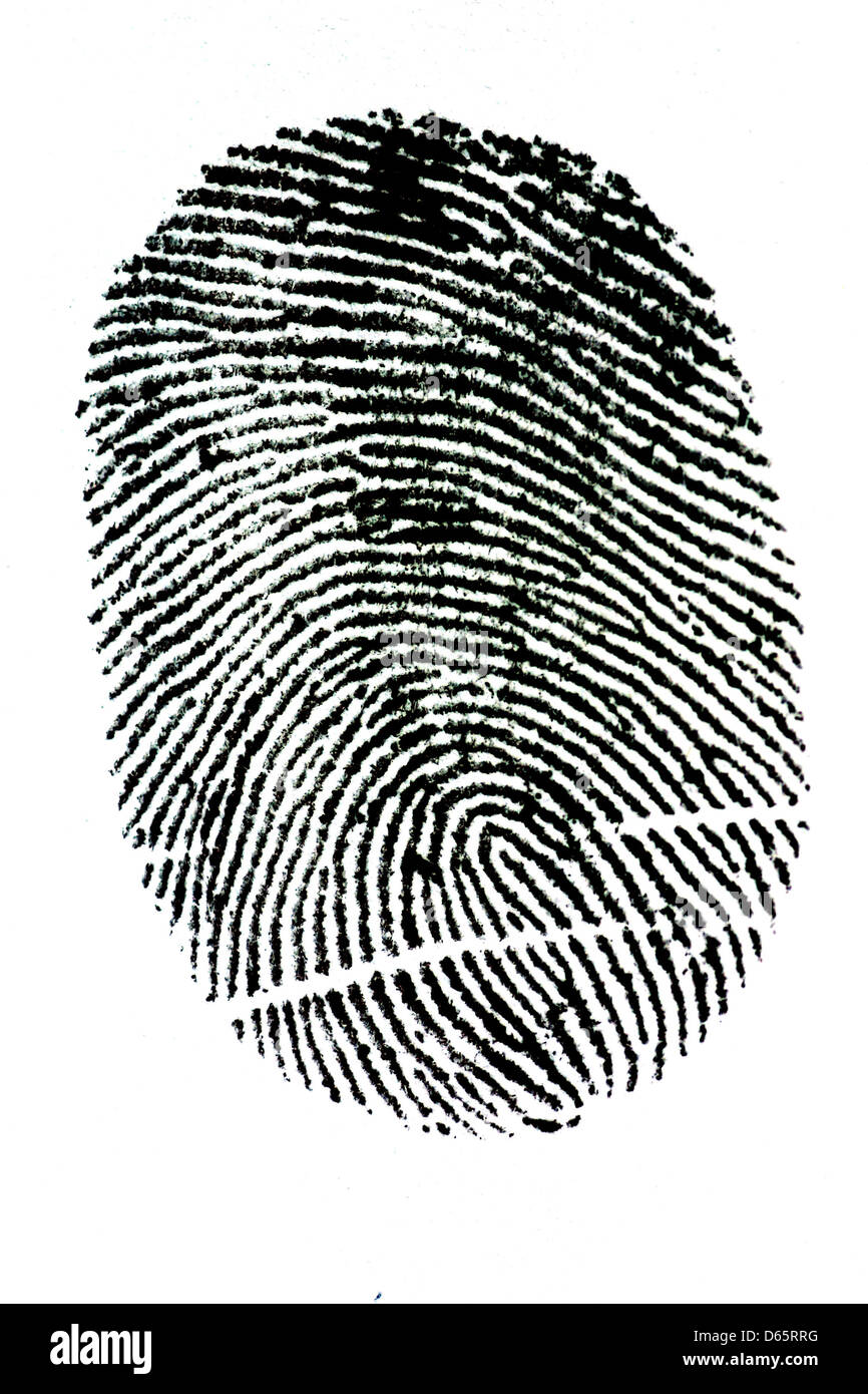 fingerprint Stock Photo