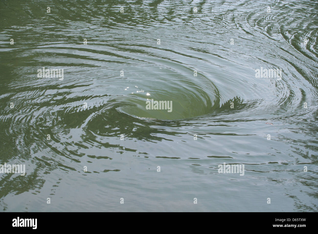 Water vortex - Stock Image - F016/7078 - Science Photo Library