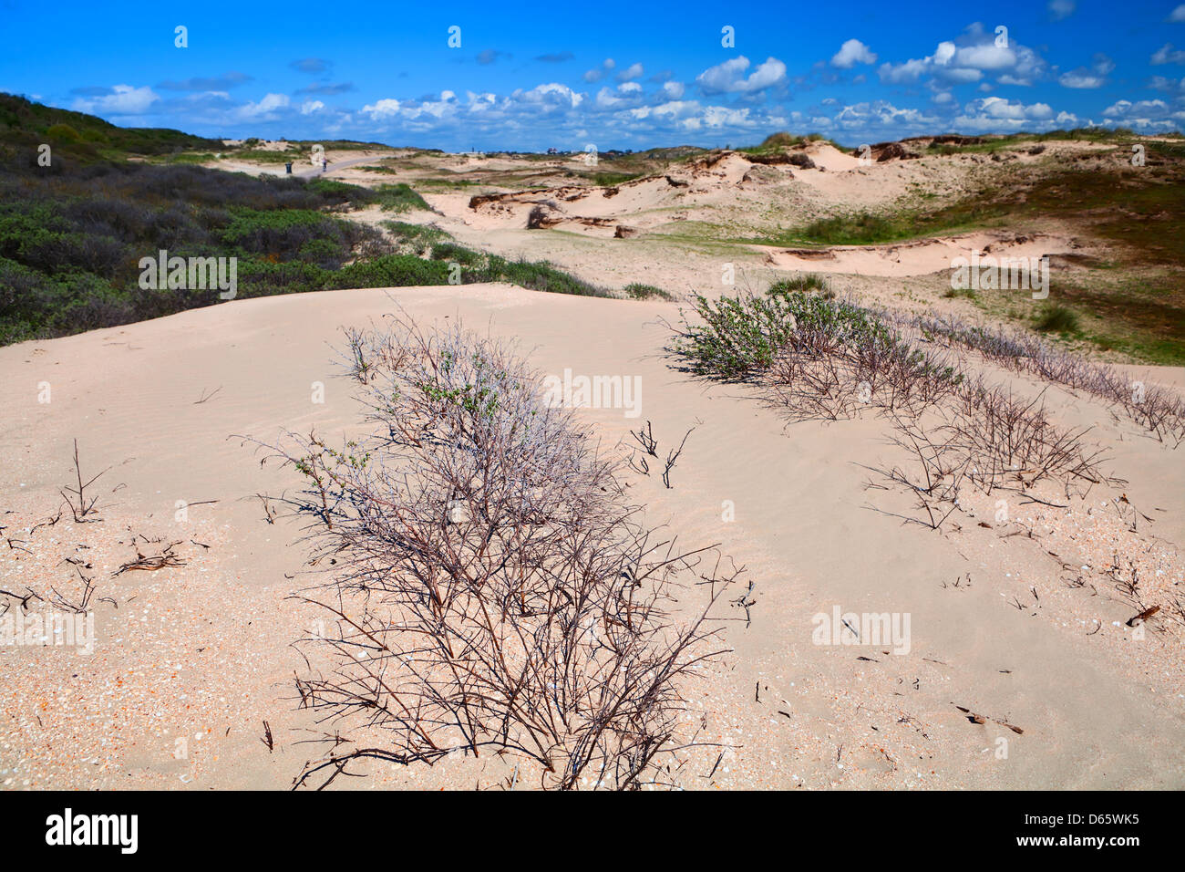 sand dunes bu Zandvoort aan Zee Stock Photo