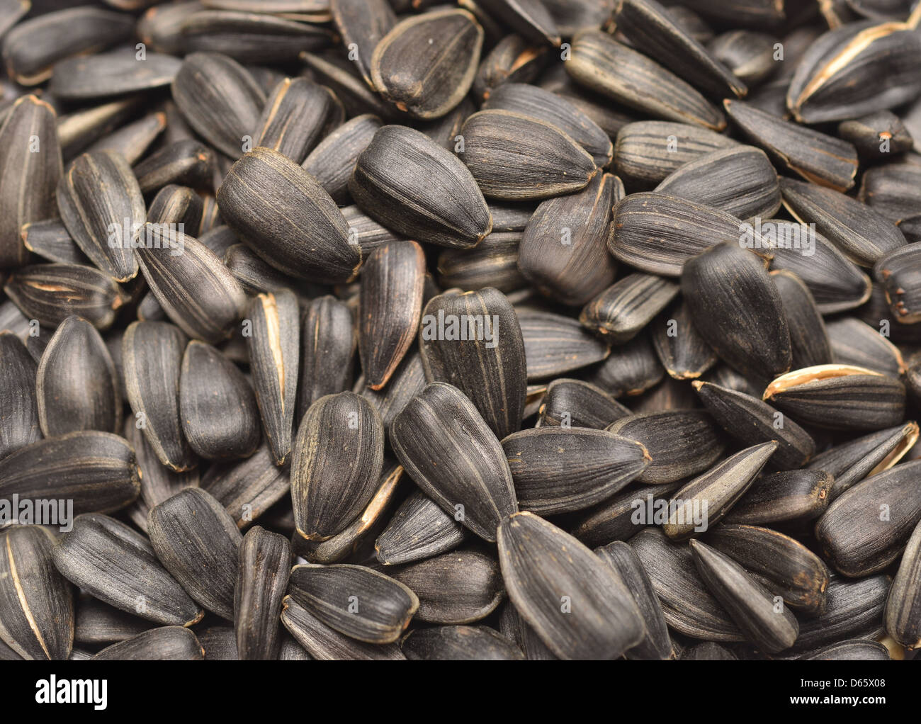 Dried sunflower seeds hi-res stock photography and images - Alamy