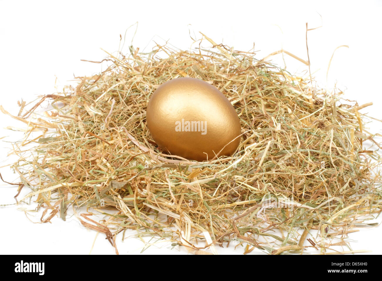 Golden Egg In A Nest With Leaves PNG Images