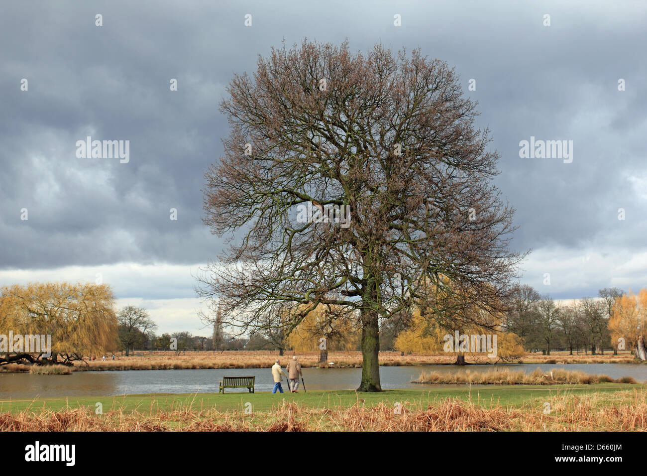 The Heron Pond in Bushy Park, SW London, England, UK.  12th April 2013. Stormy skies and heavy rain were the latest weather conditions in Southern England today. These two men take a walk by the pond between the showers. Credit: Julia Gavin / Alamy Live News Stock Photo
