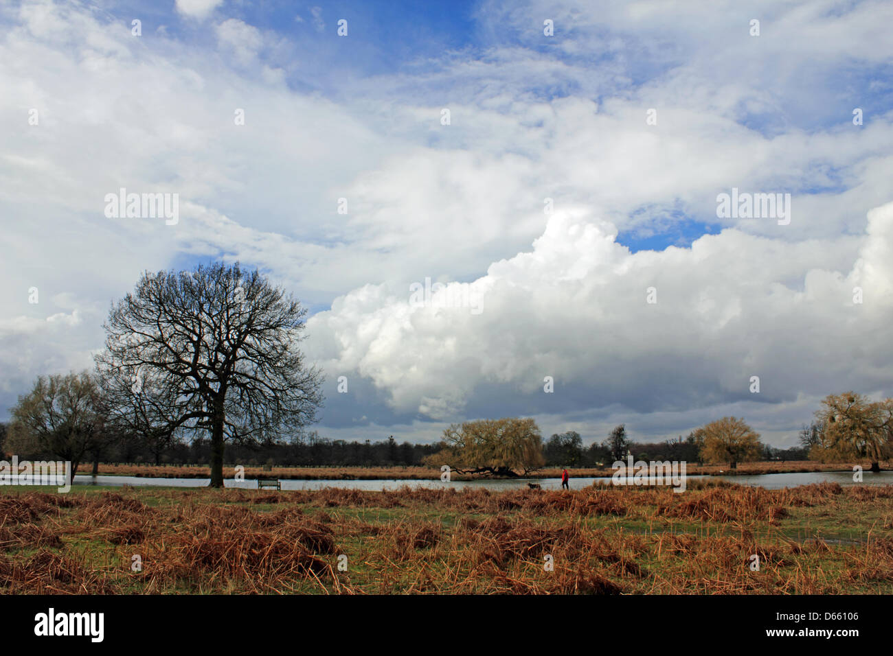 The Heron Pond in Bushy Park, SW London, England, UK.  12th April 2013. Stormy skies and heavy showers were the latest weather conditions in Southern England today. Credit: Julia Gavin / Alamy Live News Stock Photo