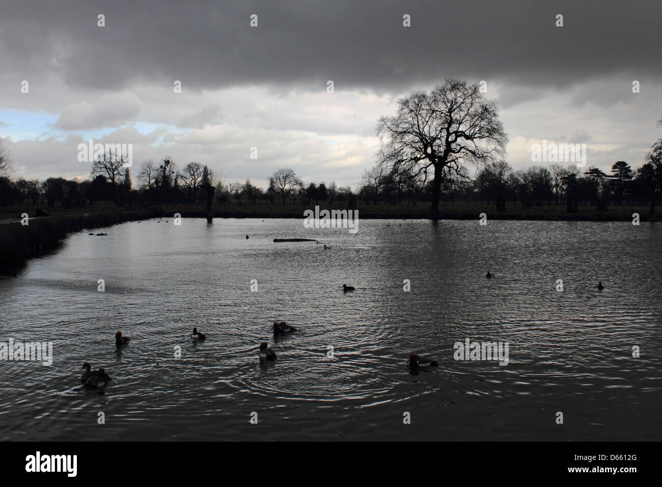 The Heron Pond in Bushy Park, SW London, England, UK.  12th April 2013. Stormy skies and heavy showers were the latest weather conditions in Southern England today. Credit: Julia Gavin / Alamy Live News Stock Photo