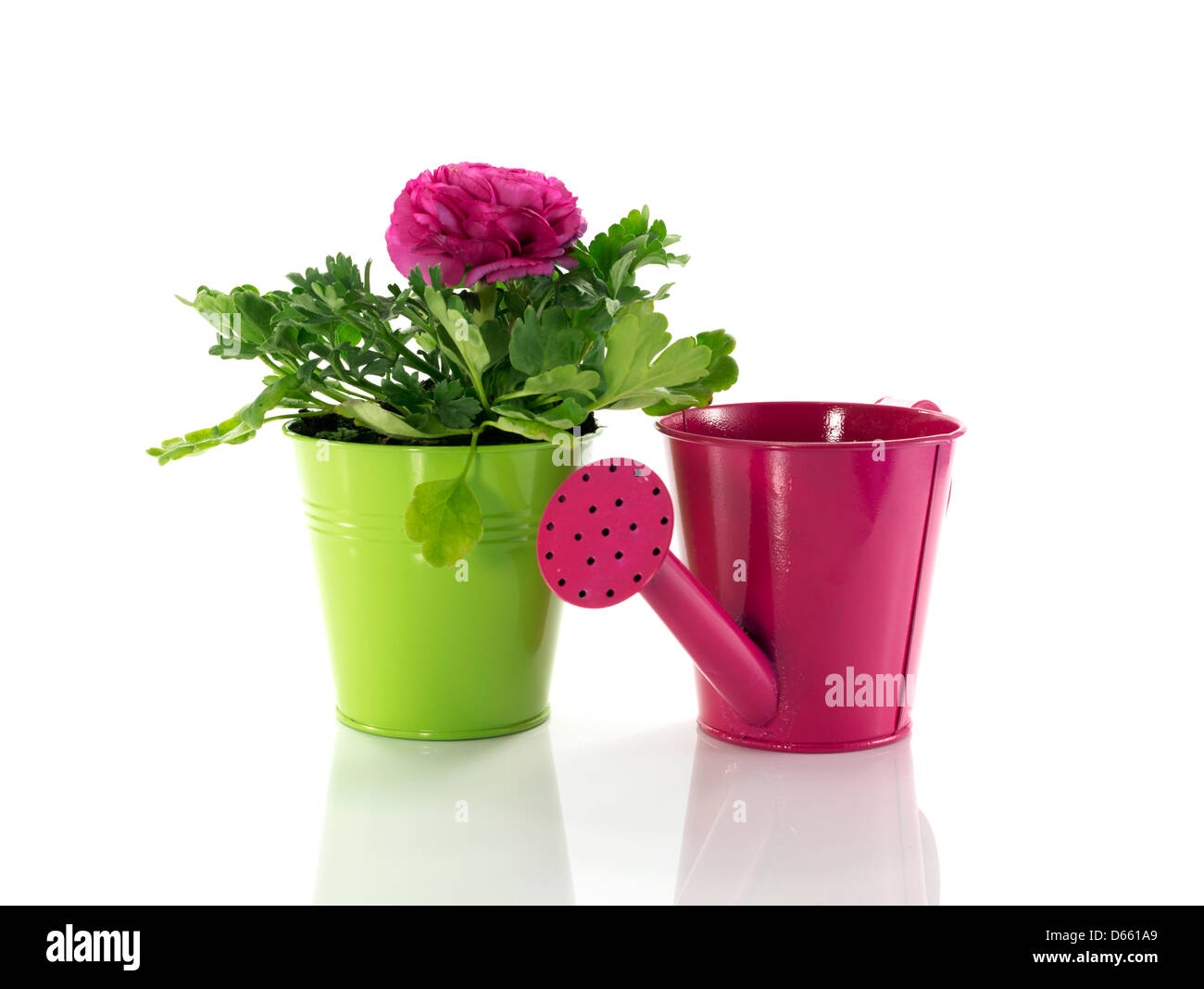 green bucket with spring flowers and watering can Stock Photo