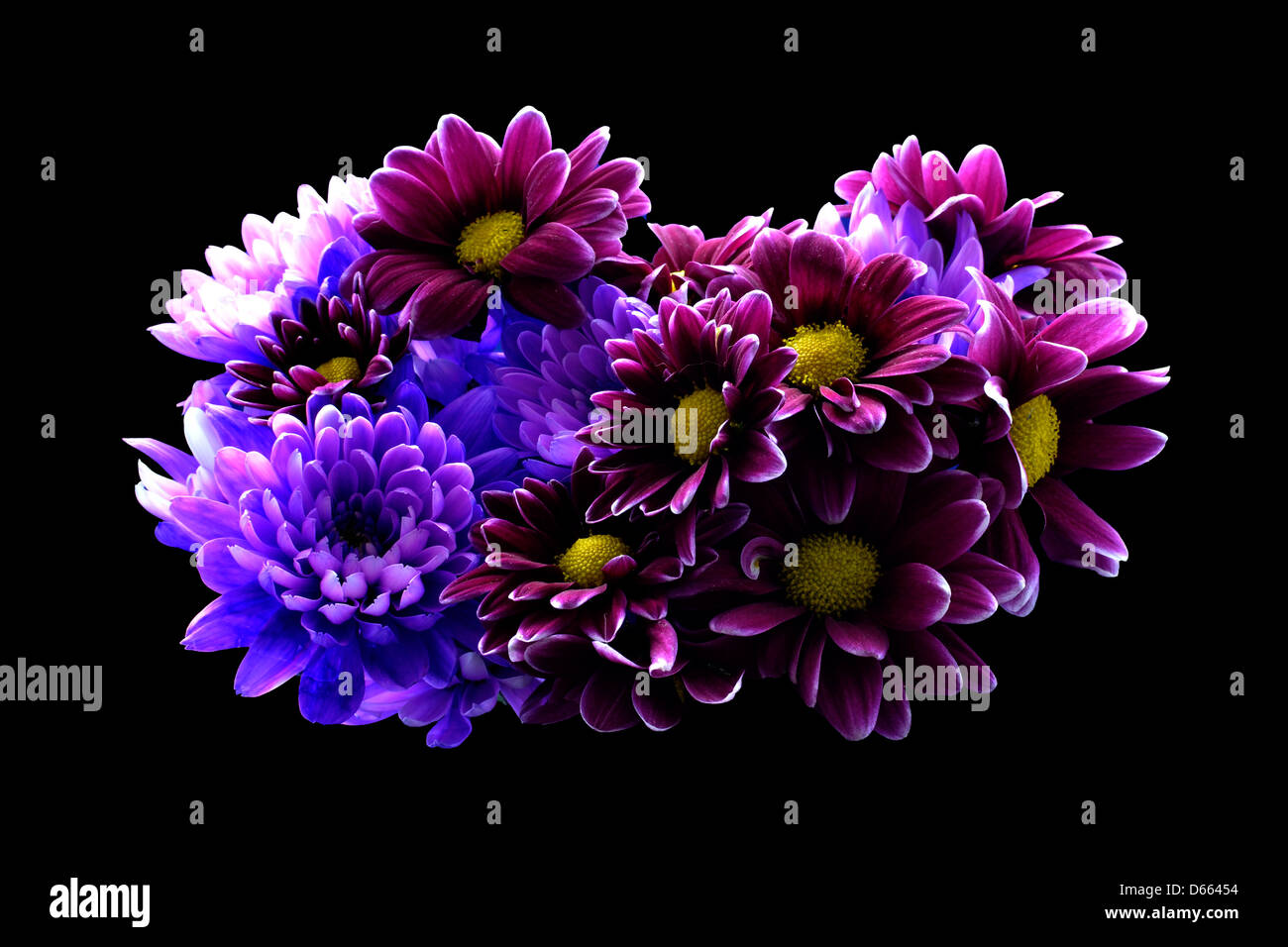 bunch of purple and mauve flowers Stock Photo