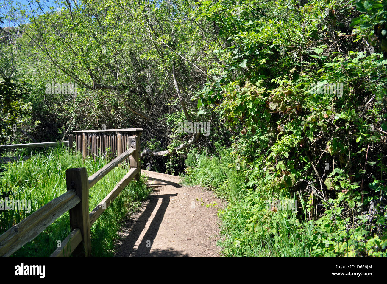 Glen canyon park san francisco hires stock photography and images Alamy