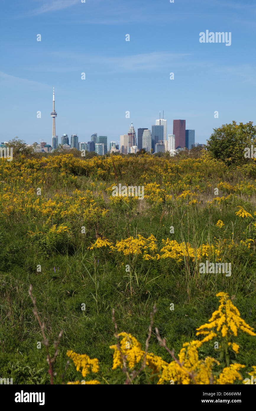 Tommy thompson park hires stock photography and images Alamy