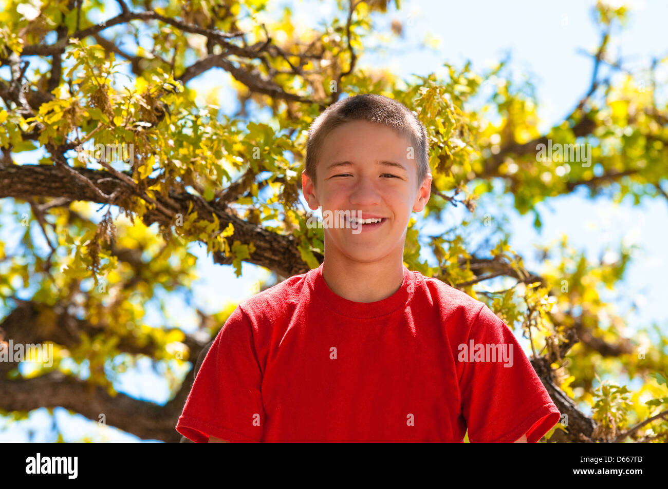 Teenage boy up in the tree happy and smiling. Stock Photo