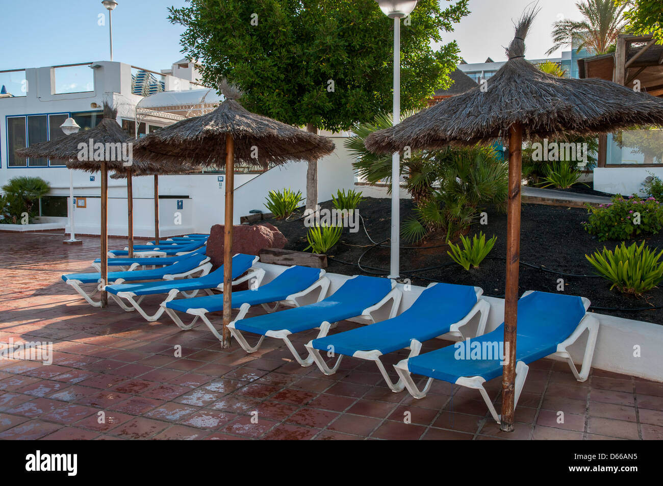 deck chairs and sun umbrellas at the pool Stock Photo Alamy