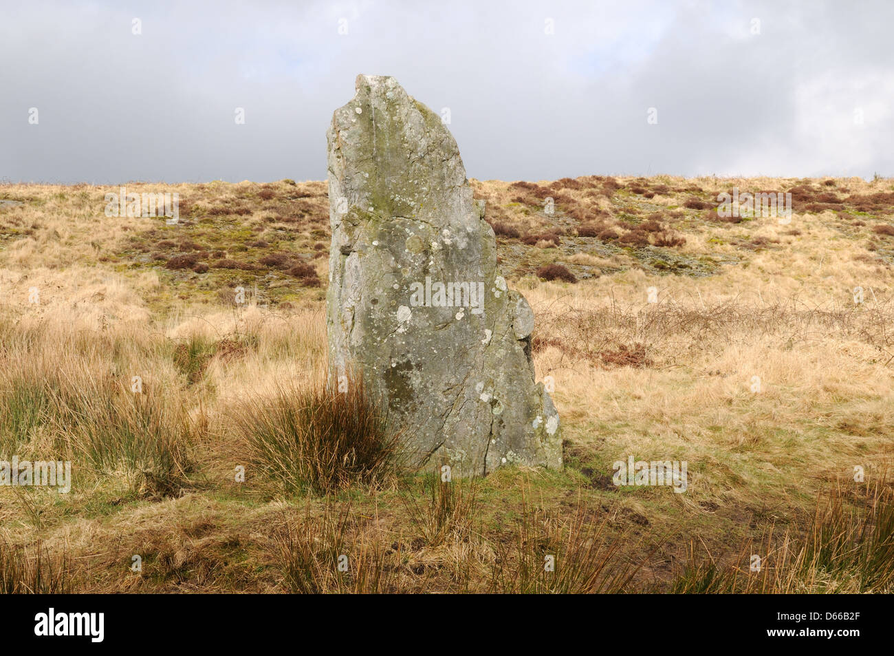 Standing Stone Menhir on LLangyndeyrn Mountain prehistoric landscape Carmarthenshire Wales Cymru UK GB Stock Photo