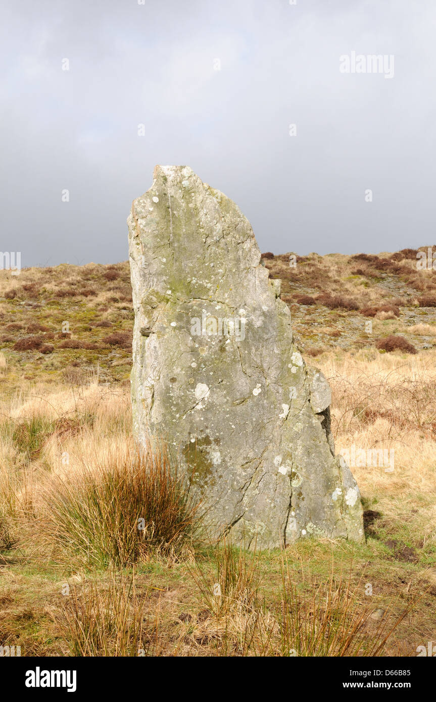 Standing Stone Menhir on LLangyndeirn Mountain prehistoric landscape Carmarthenshire Wales Cymru UK GB Stock Photo