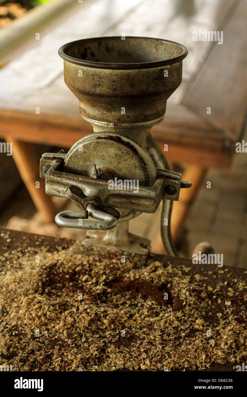 The process of grinding coffee beans Stock Photo Alamy