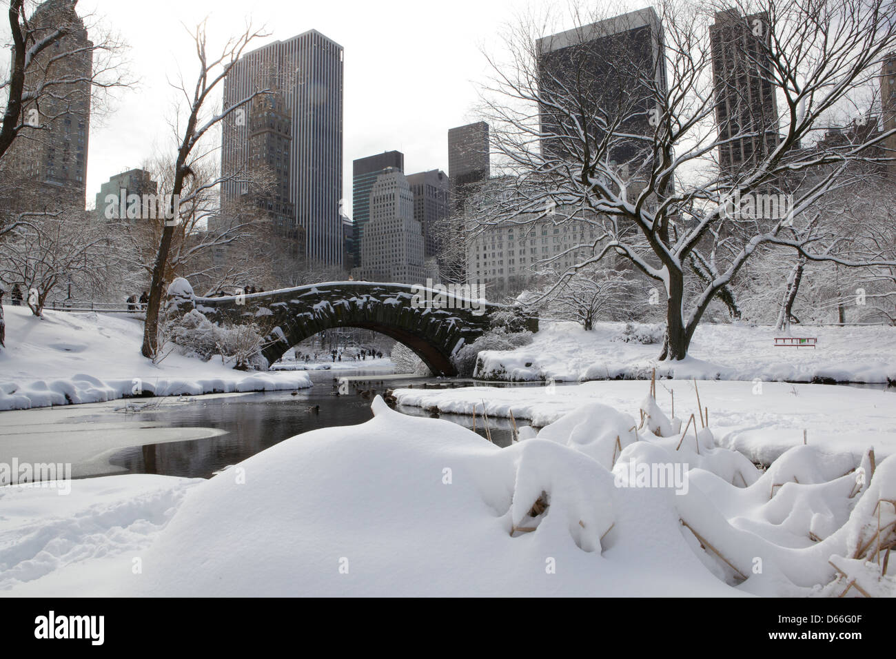 snow in Central park New York Stock Photo Alamy
