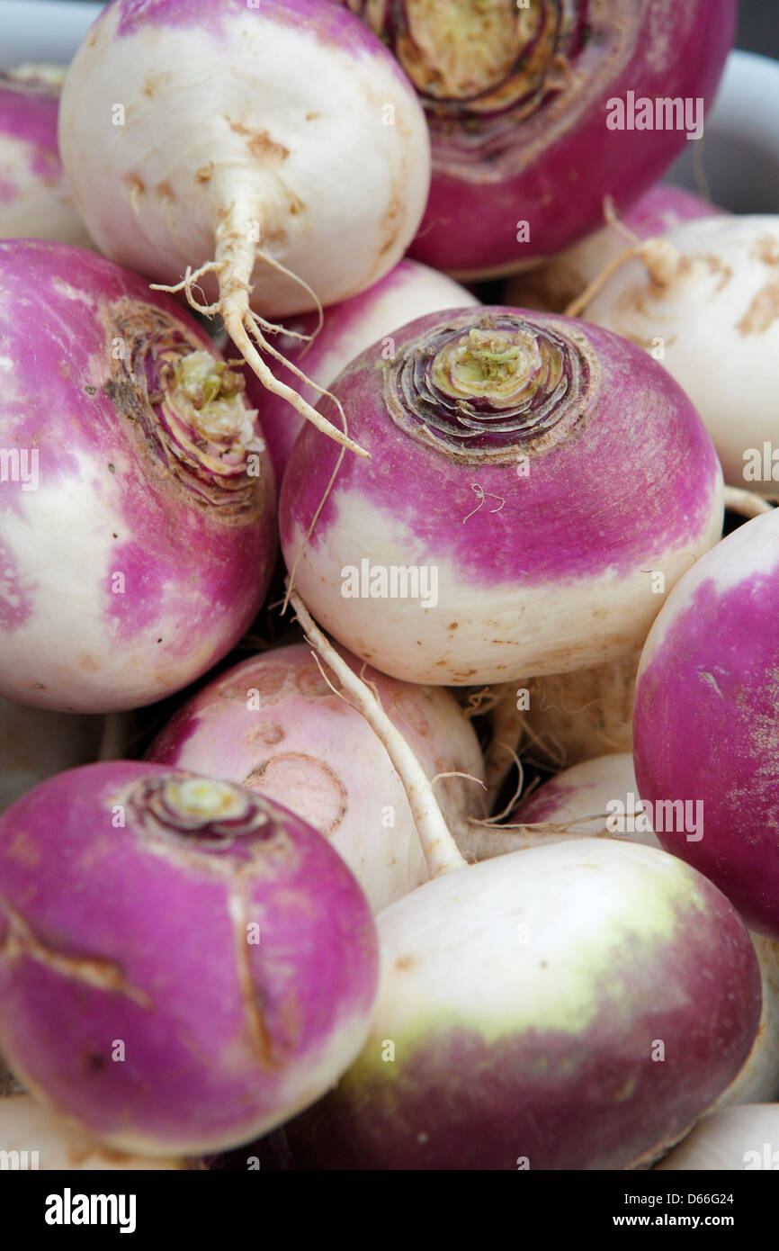 Turnips For Sale At Market High Resolution Stock Photography and Images