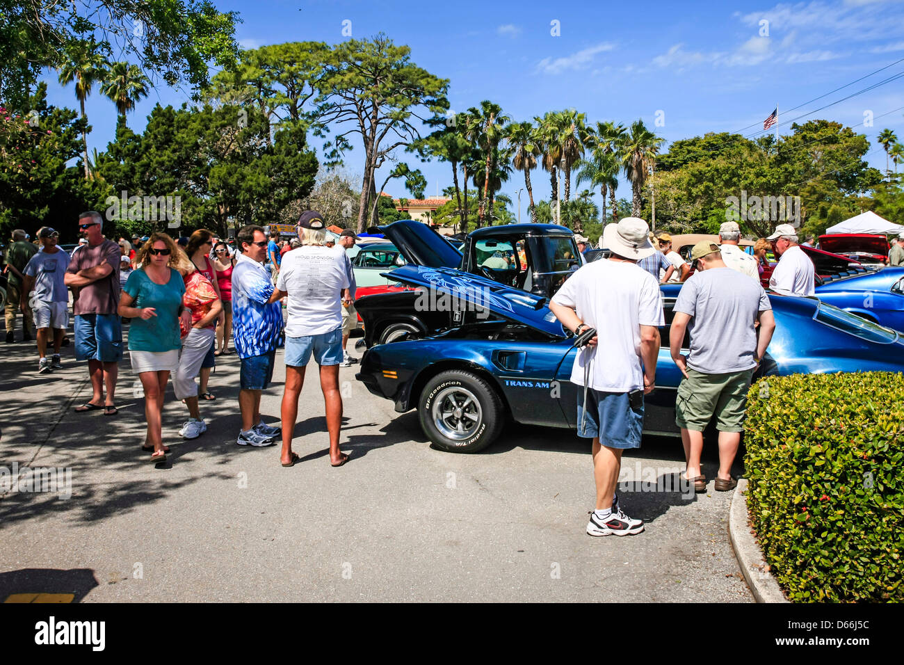 Classic and Custom Car show in downtown Venice Florida Stock Photo Alamy