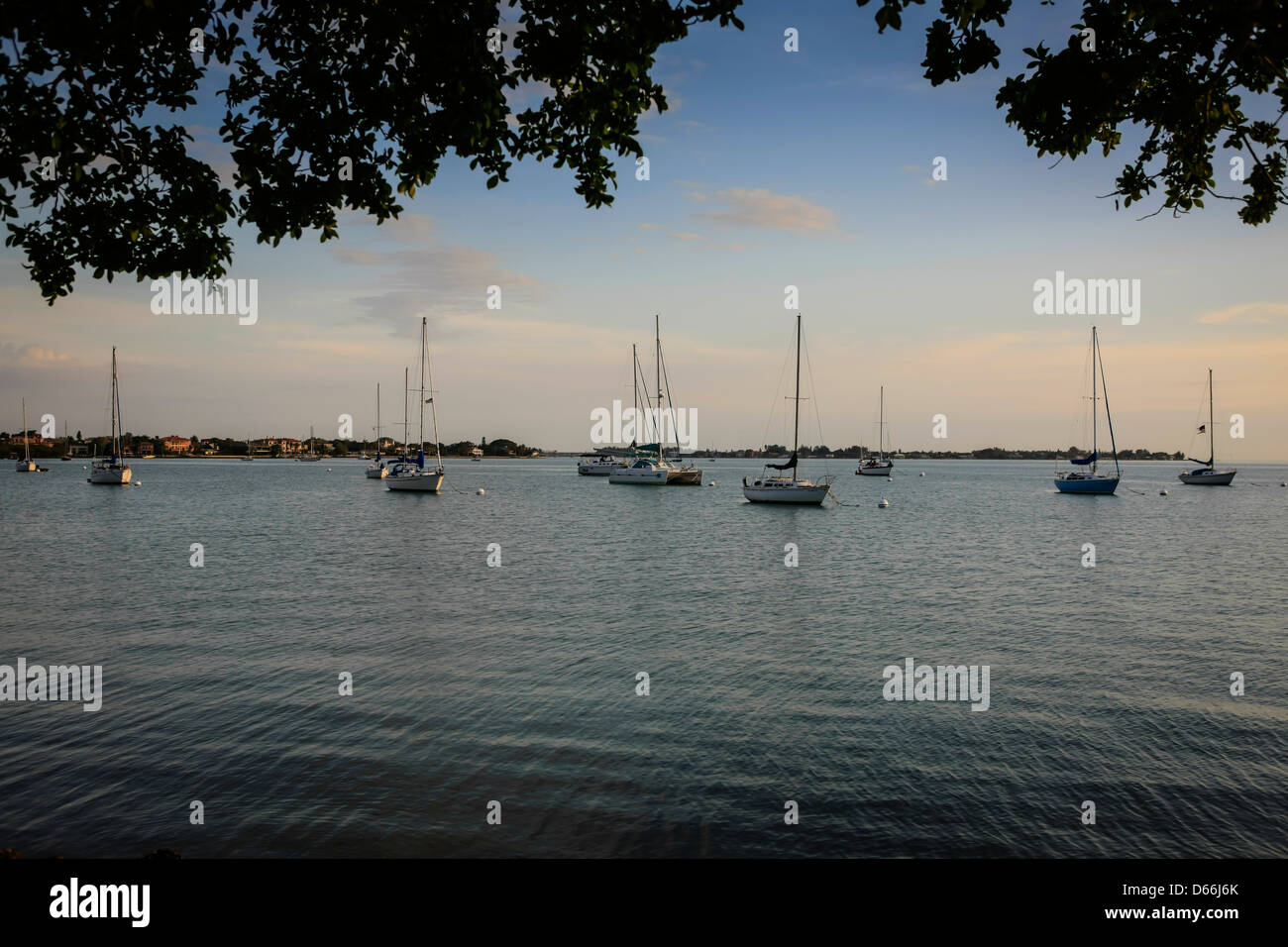 Sunset over Sarasota Bay Florida Stock Photo Alamy