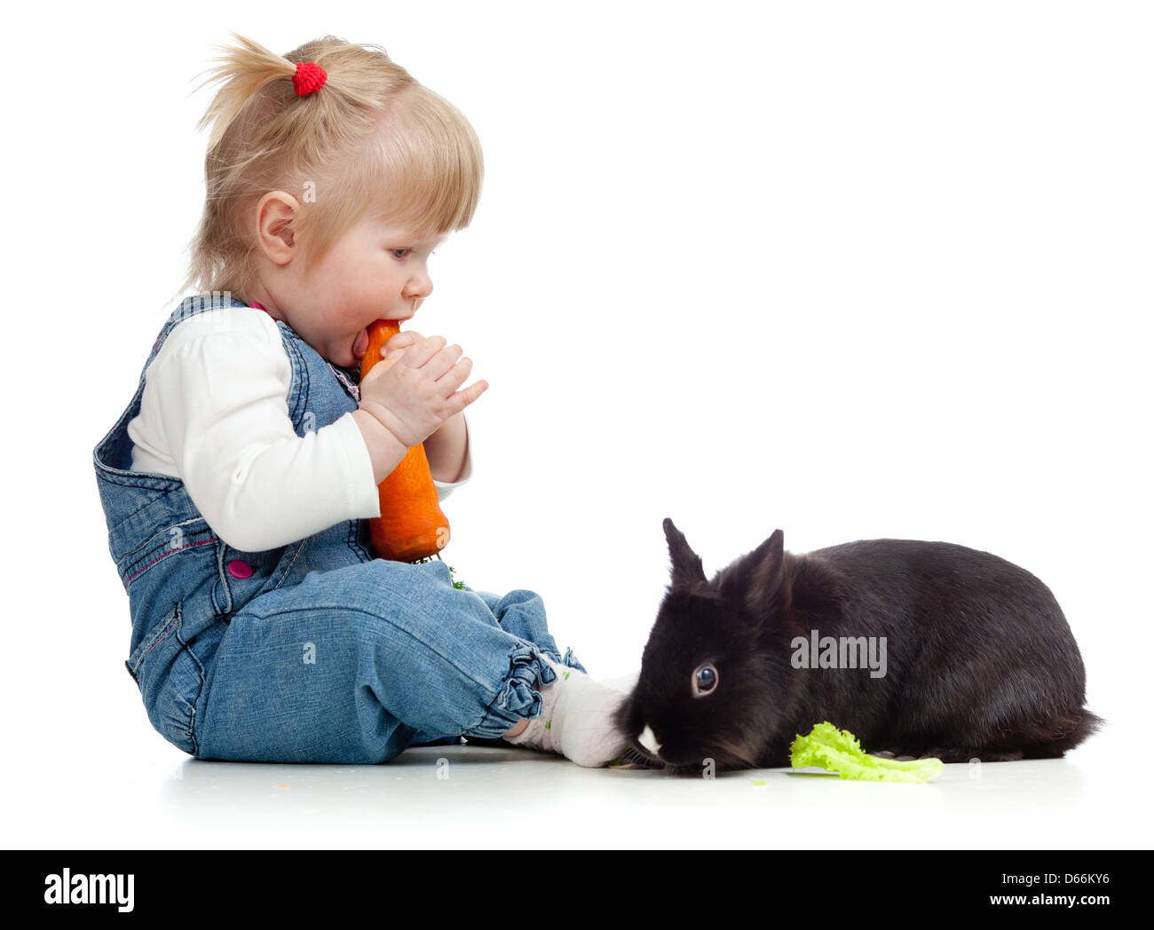 Smiling little girl eating a carrot and feeding rabbit Stock Photo - Alamy