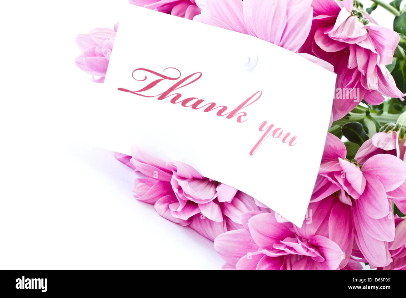 Thank You Cards | Birthday & Greeting Cards by Davia - Free eCards - Page 2  of 5 | Thank you wallpaper, Thank you messages gratitude, Thank you  greetings