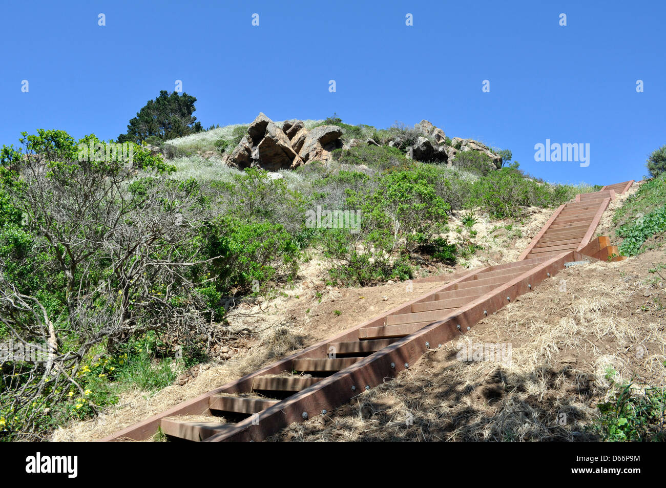 Glen Canyon Park stairway, San Francisco, California, USA Stock Photo