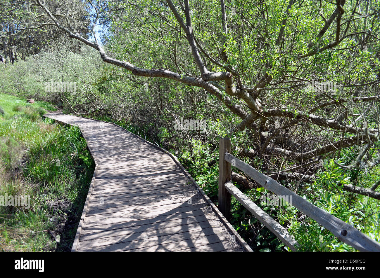 Glen canyon park san francisco hires stock photography and images Alamy