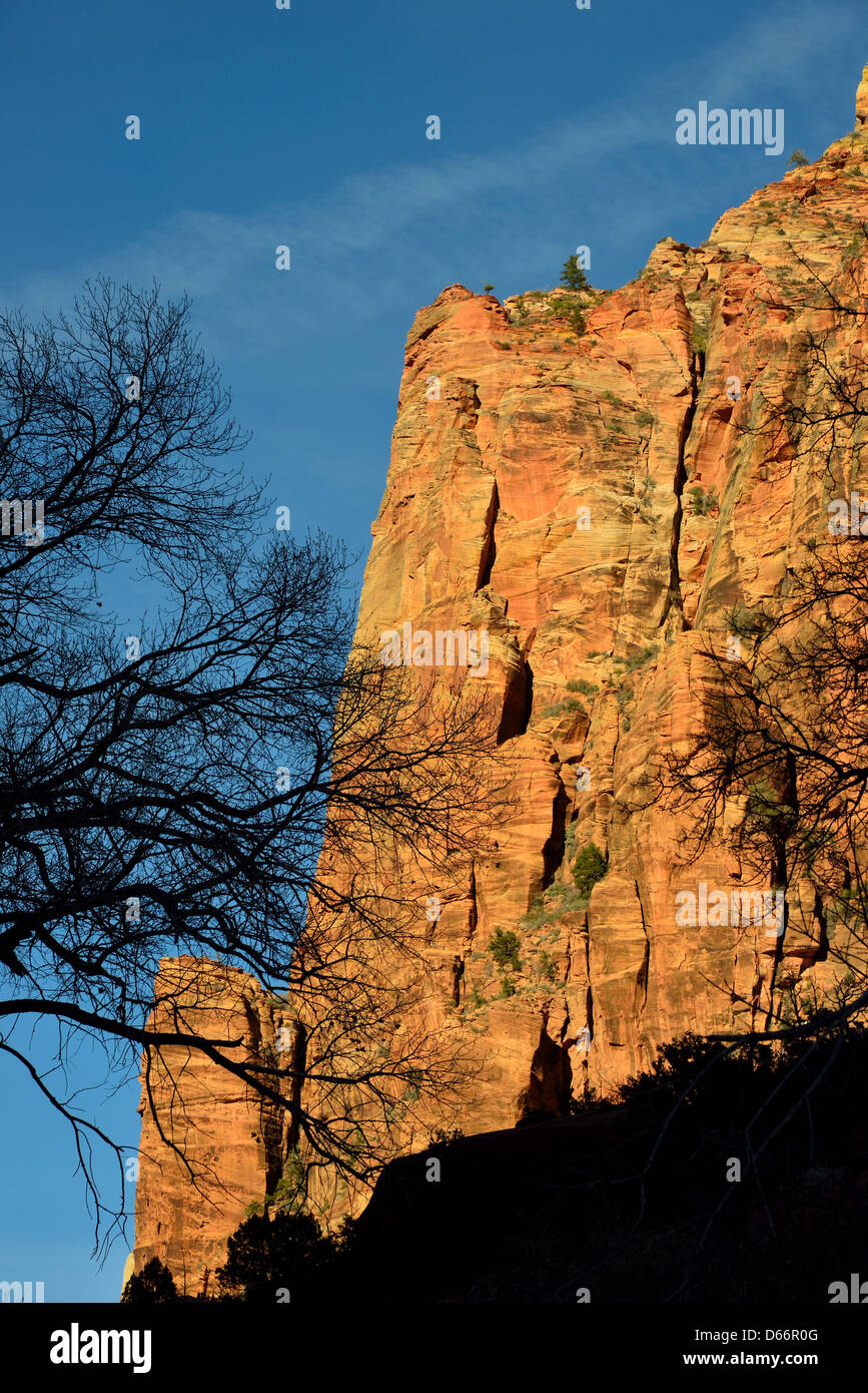 Red sandstone cliffs hi-res stock photography and images - Alamy