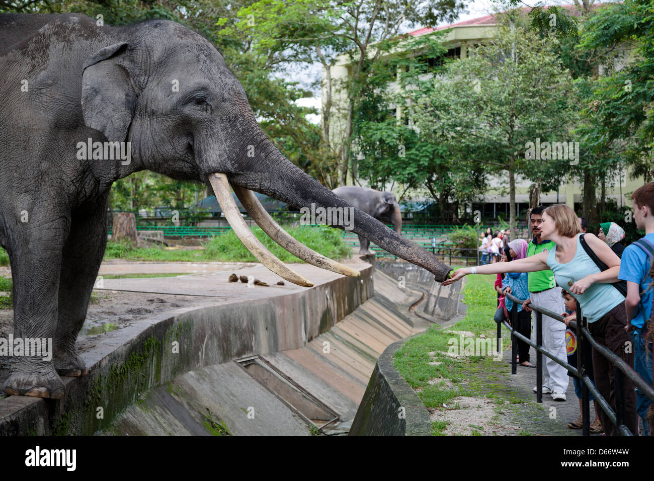 National zoo of malaysia