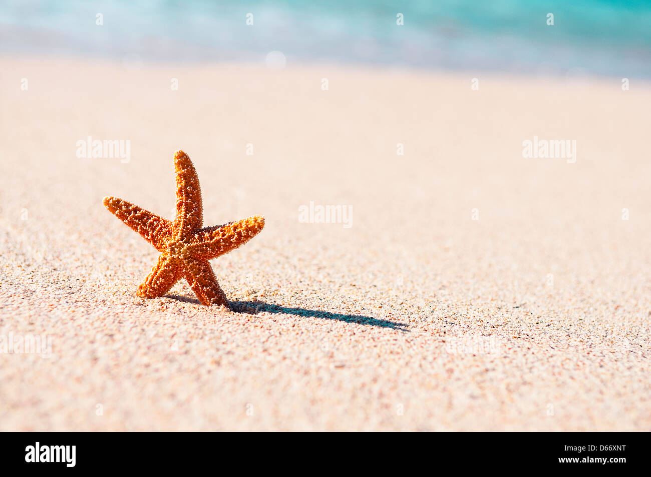 Summer vacations - starfish on sunset sea sand beach Stock Photo