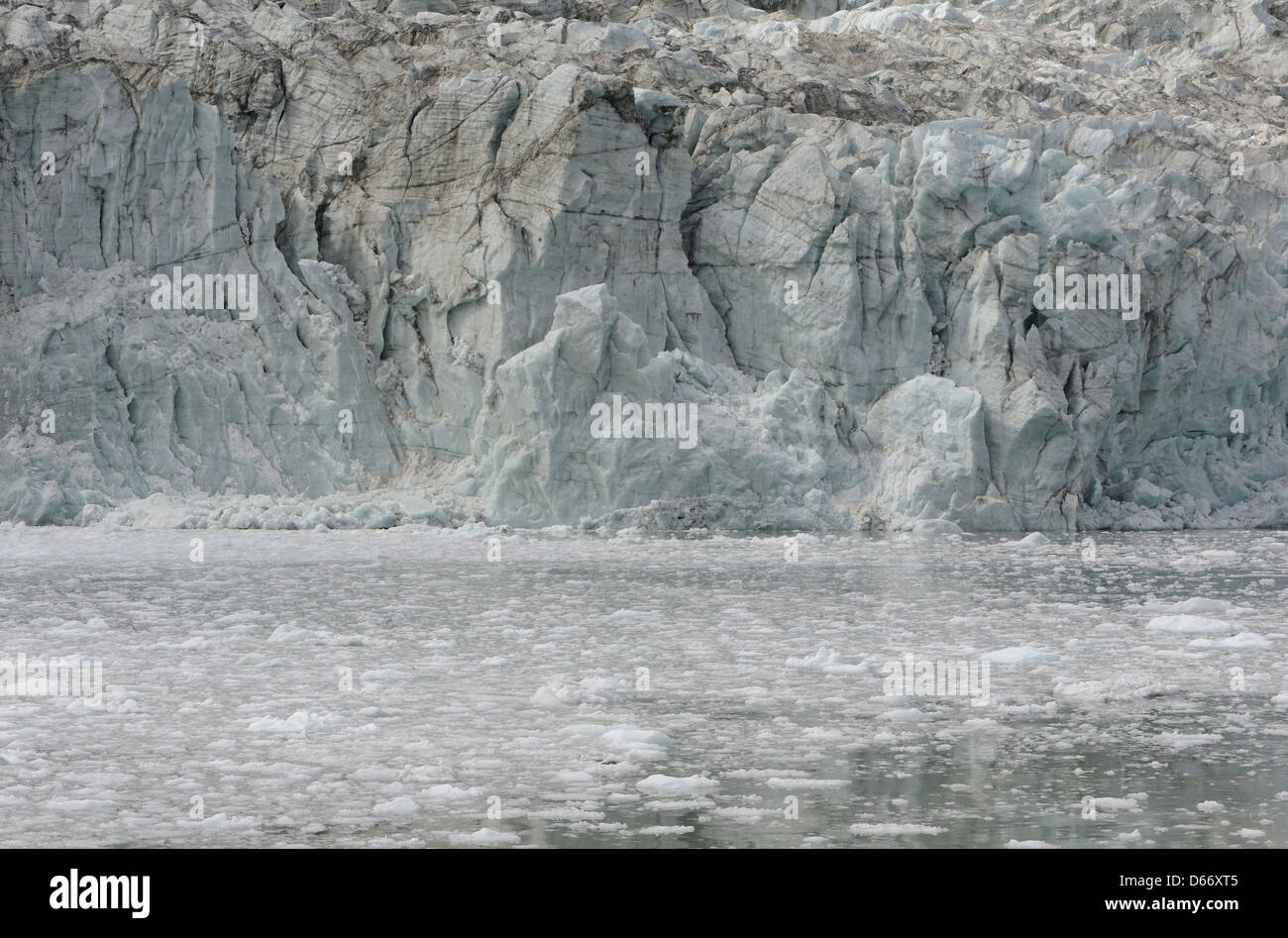 Dirty ice at the bottom of the main western branch of Pia Glacier tumbles into Garibaldi Fjord