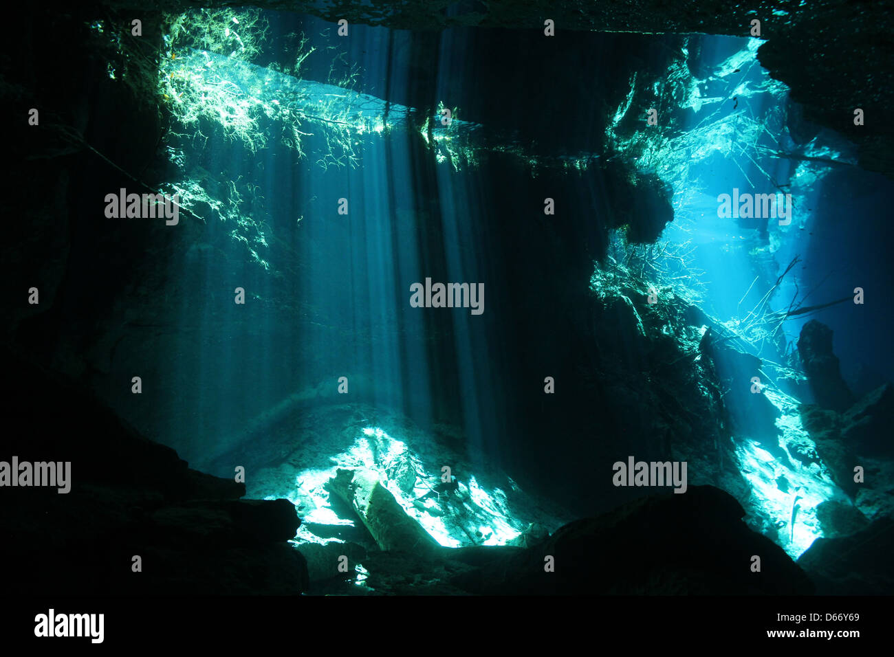 Sunbeams Breaking Through the Surface in Chac Mool Cenote, Playa del Carmen, Mexico Stock Photo