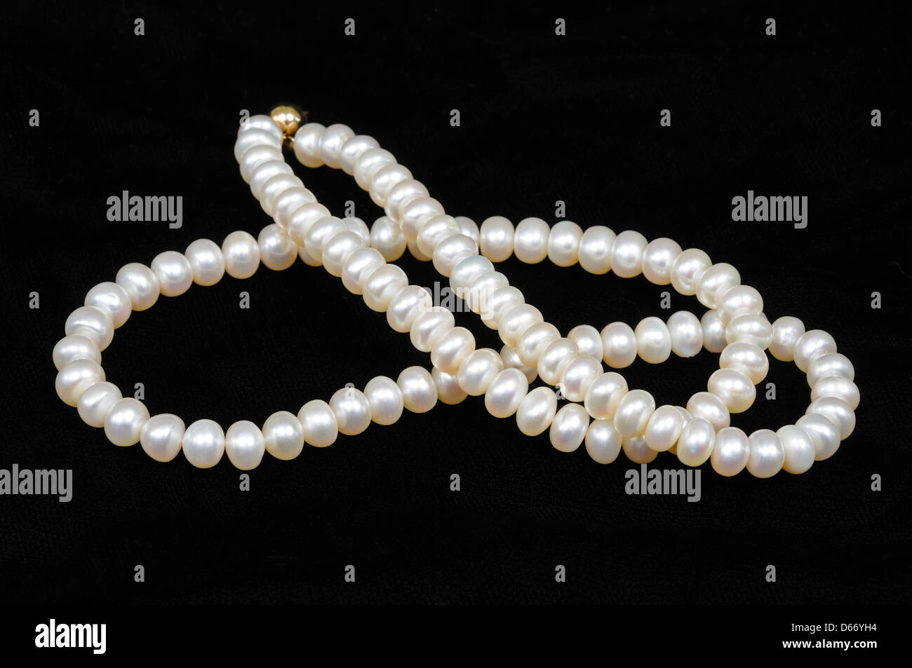 Cultivated pearl necklace against a black background. Stock Photo