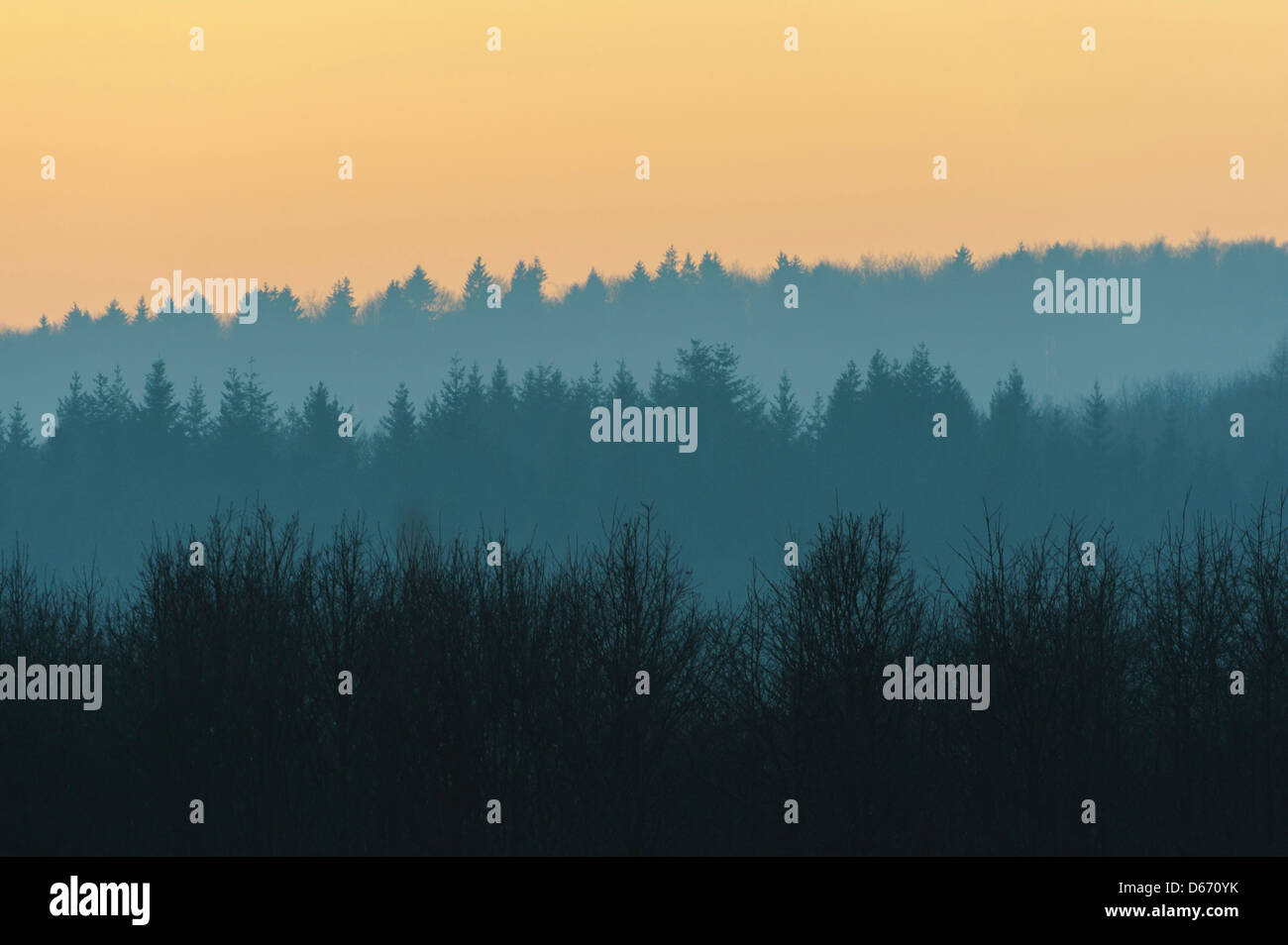 evening mood in the solling, weserbergland, holzminden district, niedersachsen, germany Stock Photo