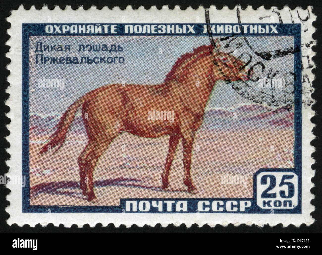 белка и стрелка 1960 год. собаки космонавты. дикие кошачьи европы на марках. 2001 год восточный гороскоп. 1960 животного.