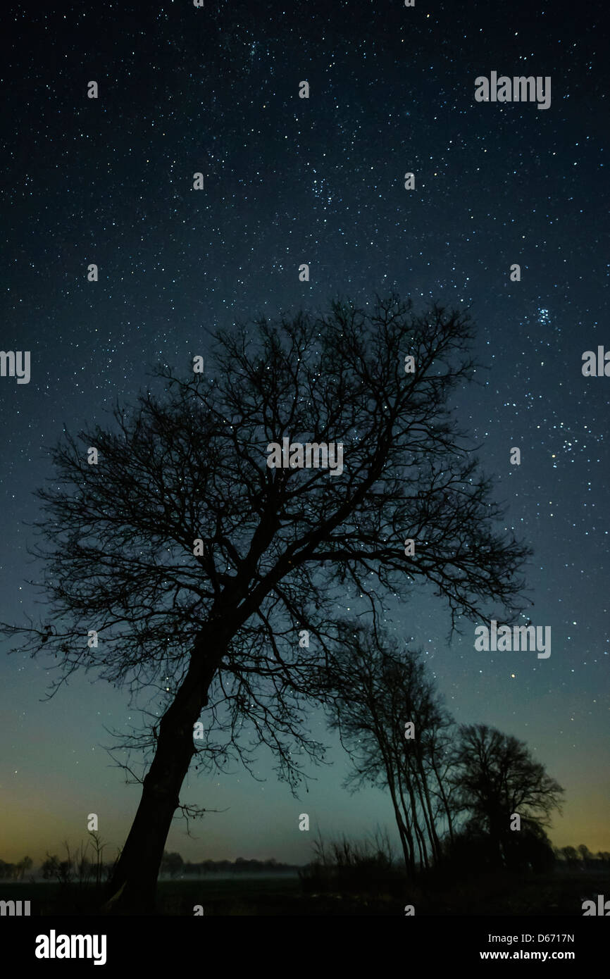 Star stars starry sky hi-res stock photography and images - Alamy