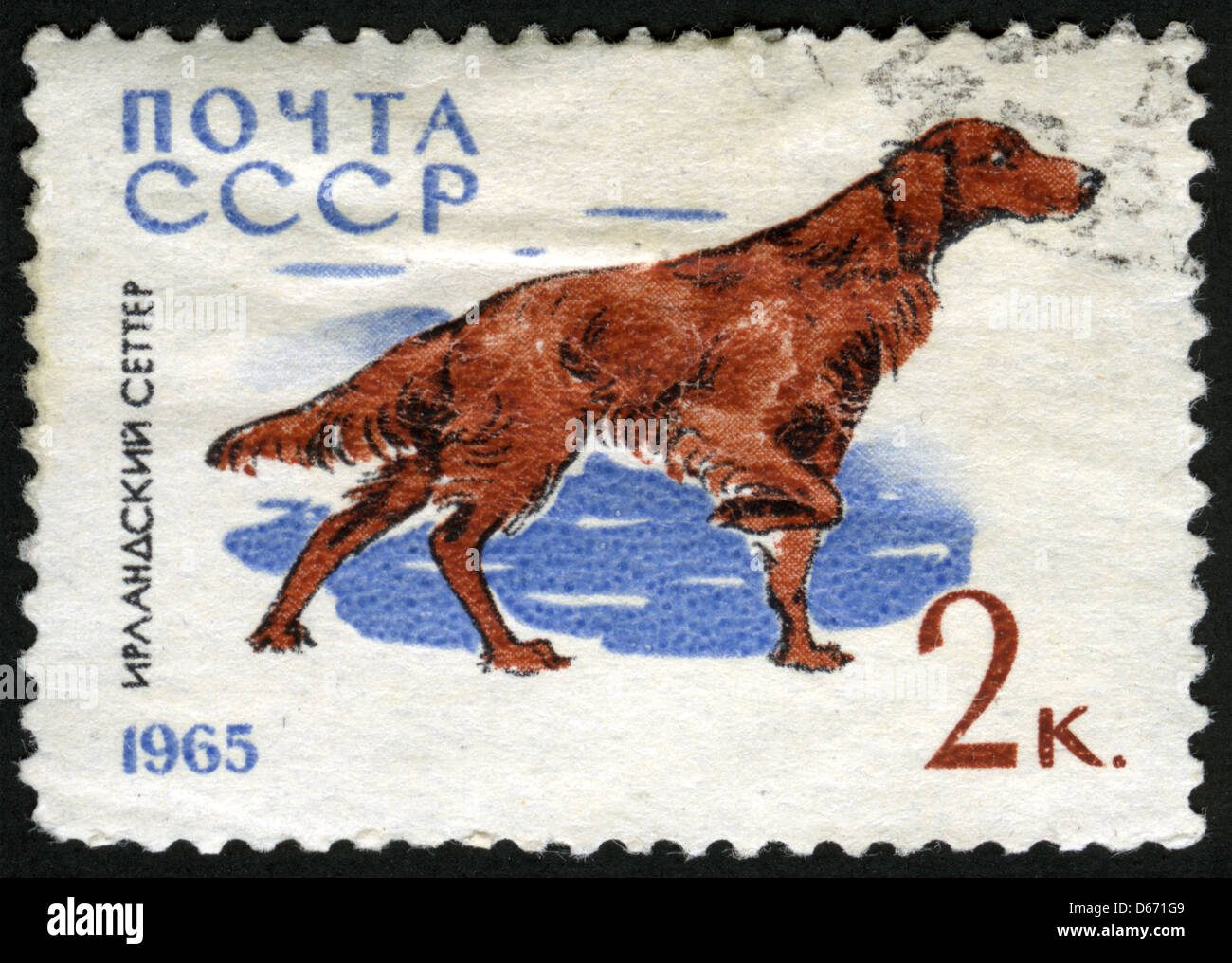 USSR, 1965, post mark,stamp,animals,animals illustrations,dog,,fauna,Irish Setter Stock Photo