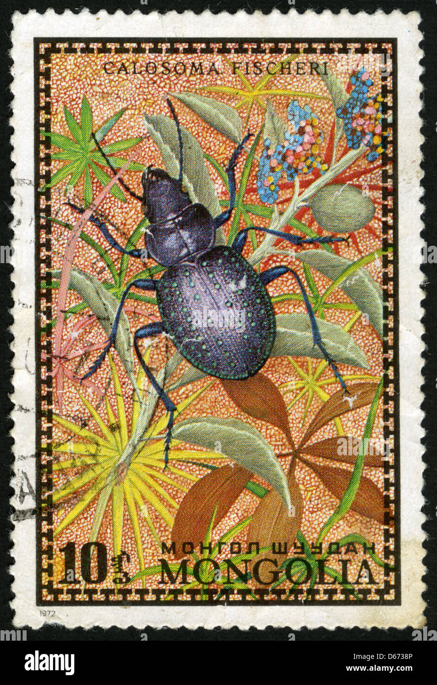 Vintage illustrations of beetles hi-res stock photography and images ...